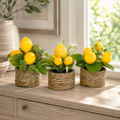 1-3pcs Artificial Lemon Potted Plants, With Pot, Made Of PE Material, 3 Styles Available. Widely Used For: Desktop Decor, School Dorm And Office Decor, Party, Event, Holiday And Birthday Decoration. A