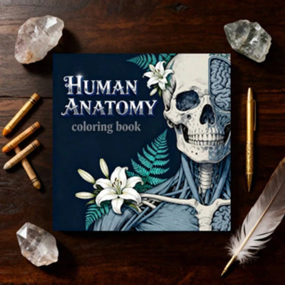 1 Pc 7.87 X 7.87 Inch Adult Coloring Book- Human Anatomy Theme, Help You Relax, Great Gift For Adult Holidays And Birthdays