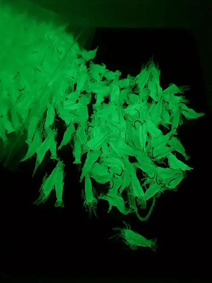 10pcs/20pcs Glow-In-The-Dark Shrimp Soft Plastic Lures With Hooks- Realistic Freshwater & Saltwater Fishing Bait, Ideal For Night Fishing To Catch Bass, Trout, Crappie, Redfish