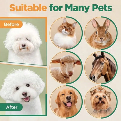 12pcs Pet Shaver Kit, Professional Electric Pet Grooming Clippers, Rechargeable Cordless Low Noise Trimmer For Dogs, Cats, Suitable For Various Pet Hair Lengths, Professional Pet Grooming Salon Use