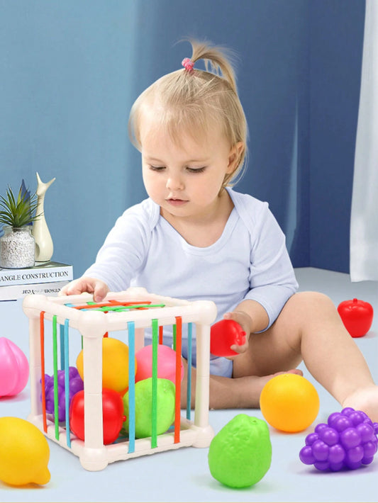 1pc Baby Early Education Sensory Educational Toys Fruit Set Concentration Training Sesele Educational Toys