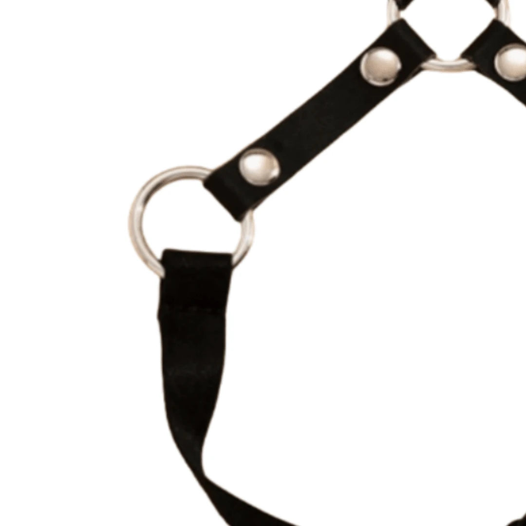 1pc Exaggerated European And American Style Detachable Leather Sexy Garter Belt, Fashion Adjustable Suspender Leg Strap Leg Decor