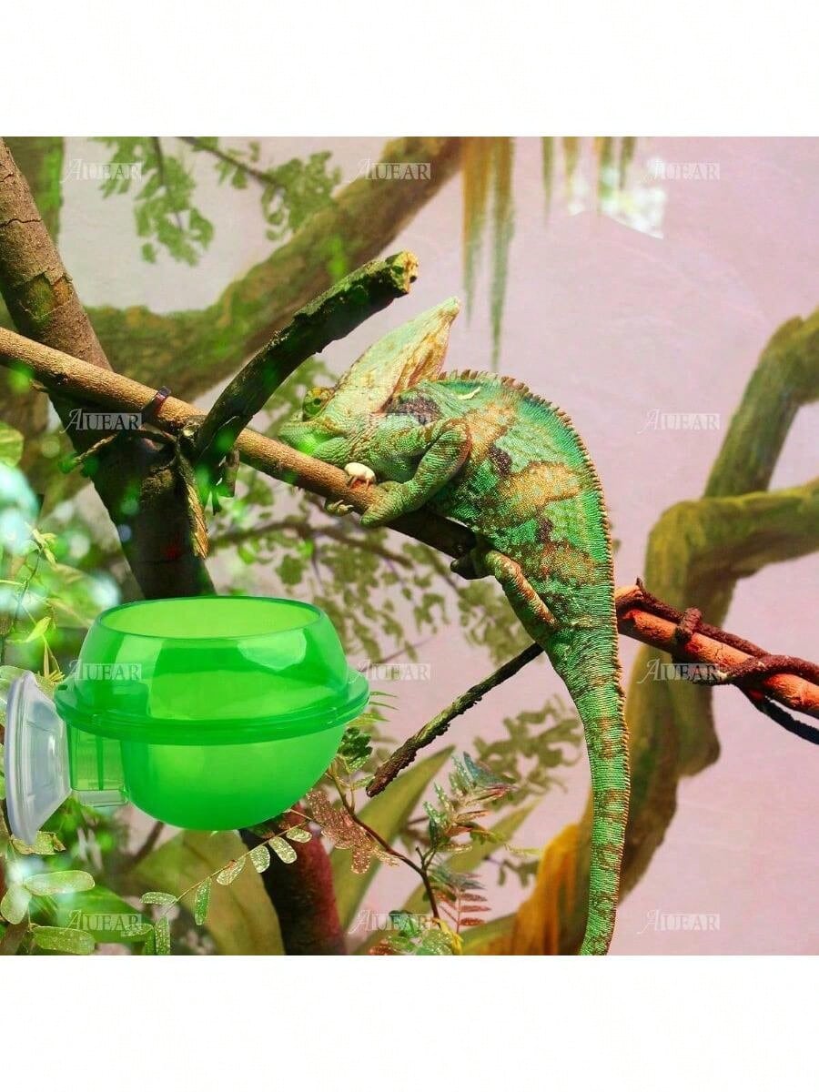 2 Pack Suction Cup Reptile Feeder – Cricket & Water Dish For Chameleons, Geckos, Bearded Dragons – No-Spill Ledge Bowl For Lizards & Amphibians