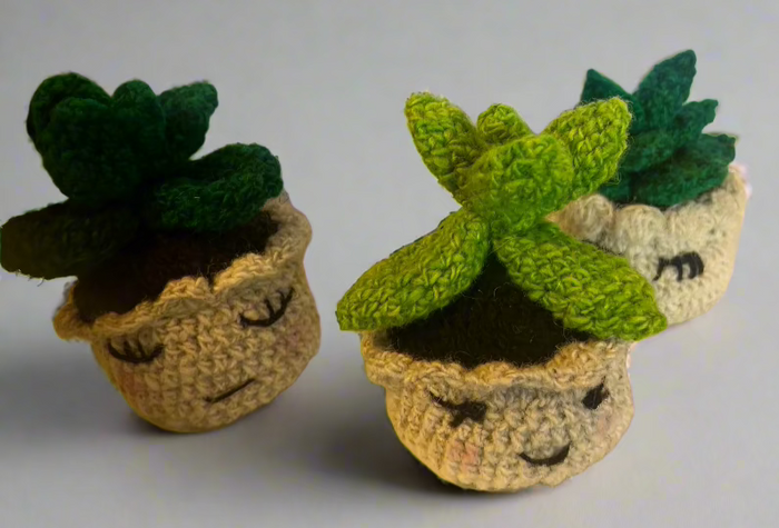 handcrafted wool succulents in a little pot. measures about 3.5" high by 3"