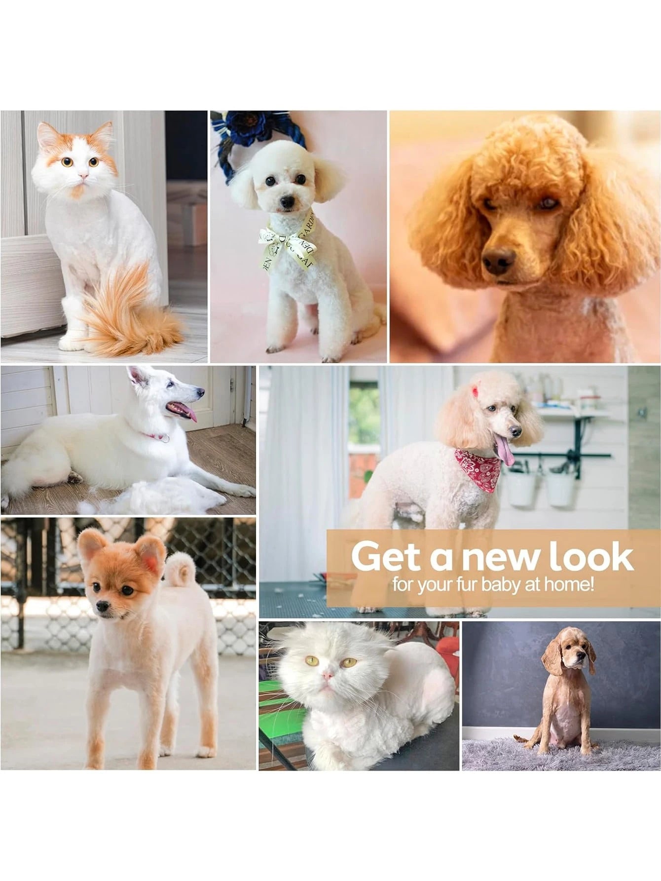 4-In-1 Pet Hair Trimmer Set, Grooming Electric Shaver Kit, Dog Clippers With Nail Grinder, Cordless Electric Clipper, Quiet 2-Speed, USB Rechargeable, Suitable For Small/Medium Dogs & Cats, Paws, Eyes