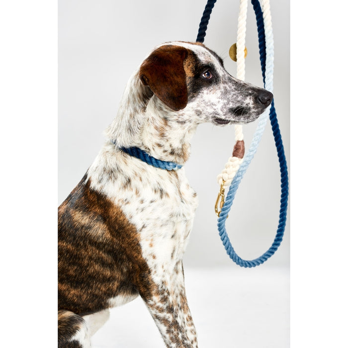Adjustable Rope Leash, Indigo Ombre