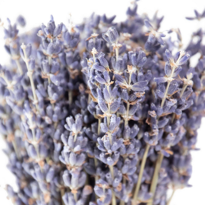 Andaluca - MINI French Lavender Bundle