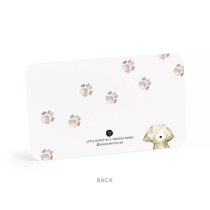 E. Frances Paper - Dog Days Little Notes® – Mini Notecard Pack, Set of 55