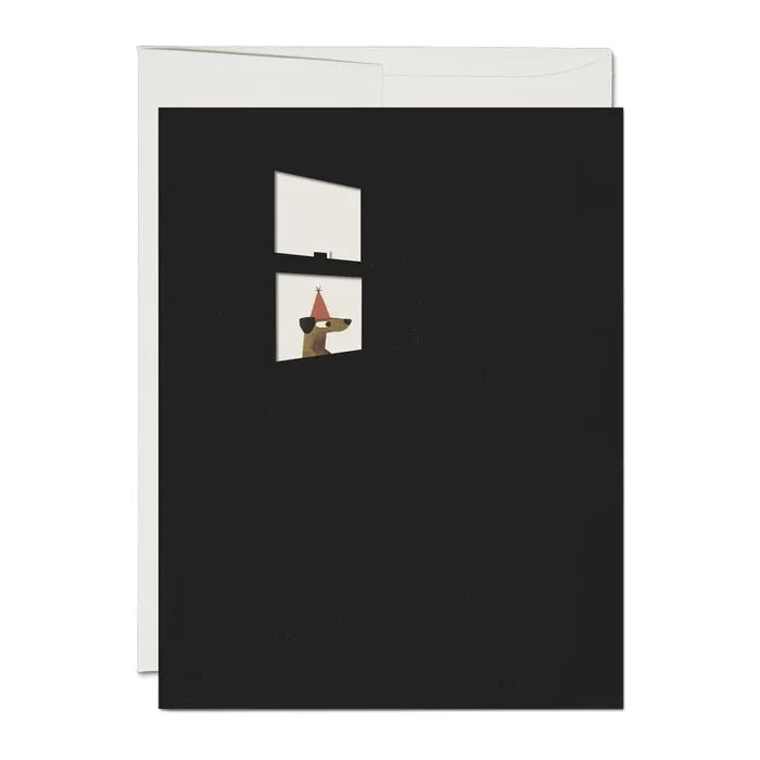 Everyone is Excited Birthday Card