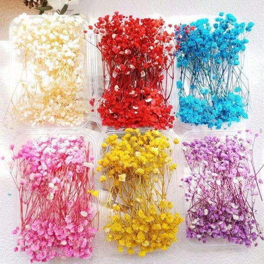 Forever Flower Starry Sky DIY Floral Embellishments Materials Pack For Handcrafted Decorations, Vase Arrangement, Decorative Floral Pieces For Bookmark Jewelry Making, Candle Making, Soap Making, Mirr