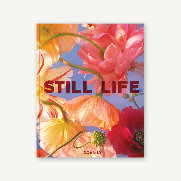 Hachette Book- Still Life