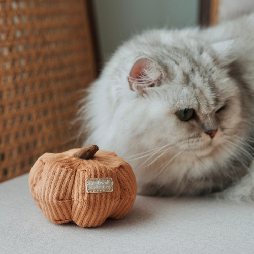 KITTY VEGGIE Set