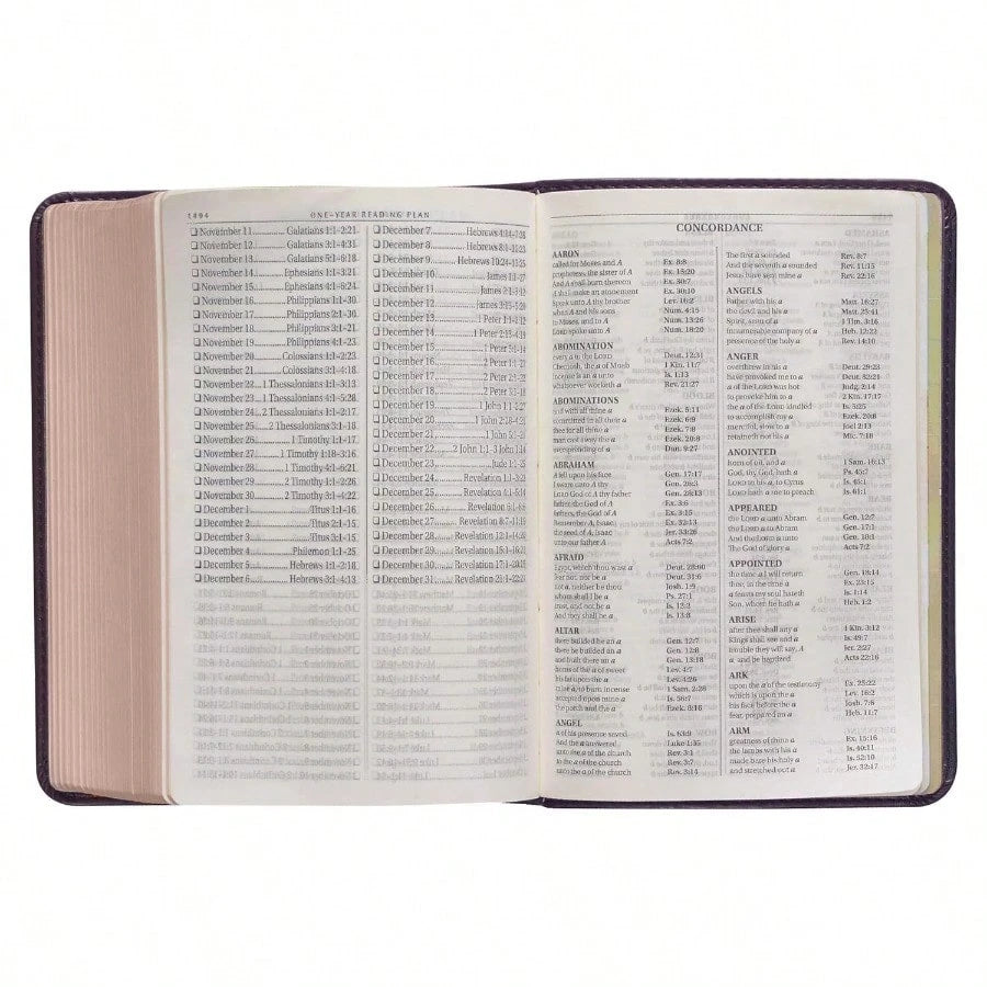 KJV Holy Bible, Large Print Compact Bible, Purple Faux Leather Bible W/Ribbon Marker, Red Letter Edition, King James Version