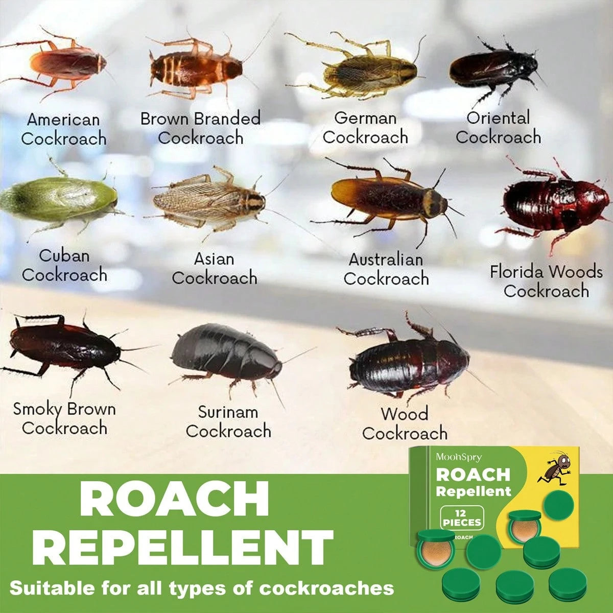 [ Mom's Reassuring Choice ] 12 Sets Of Kitchen-Specific Cockroach Repellent Tablets, Odorless Formula For Use. Help Mom Maintain Food Hygiene And Home Cleanliness. Thoughtful And Worry-Free!