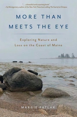 More Than Meets The Eye: Exploring Nature And Loss On The Coast Of Maine (Paperback) By Margie Patlak