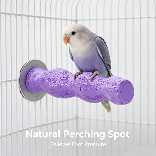 Perch Toy Interactive Stand,Perch Stand For Small Parrots,Twisted Resin Bird Perch,Cage Mount Grinding Nail Stand For Parakeets,Claw Grinding,Perching,And Training Educational Perch Stand,Universal Fi