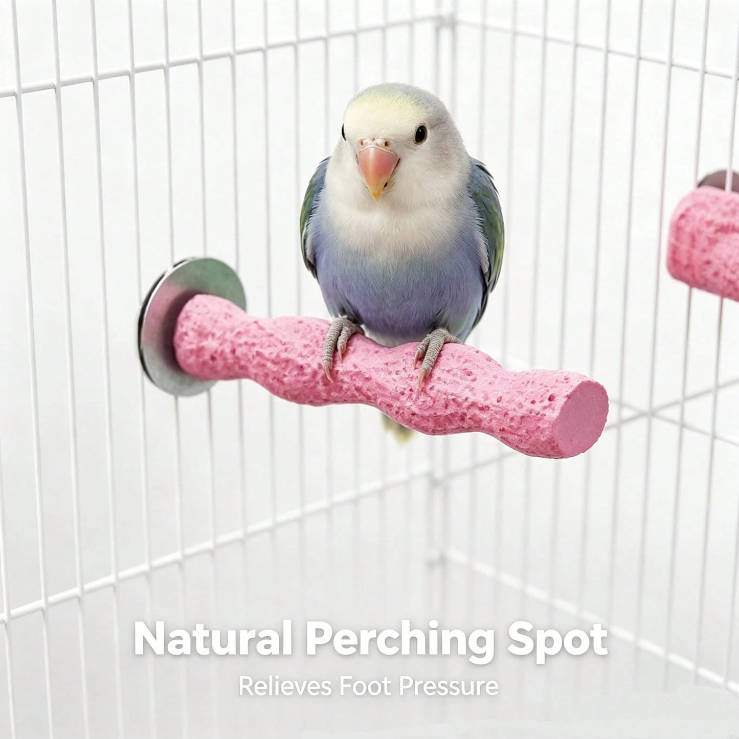 Perch Toy Interactive Stand,Perch Stand For Small Parrots,Twisted Resin Bird Perch,Cage Mount Grinding Nail Stand For Parakeets,Claw Grinding,Perching,And Training Educational Perch Stand,Universal Fi