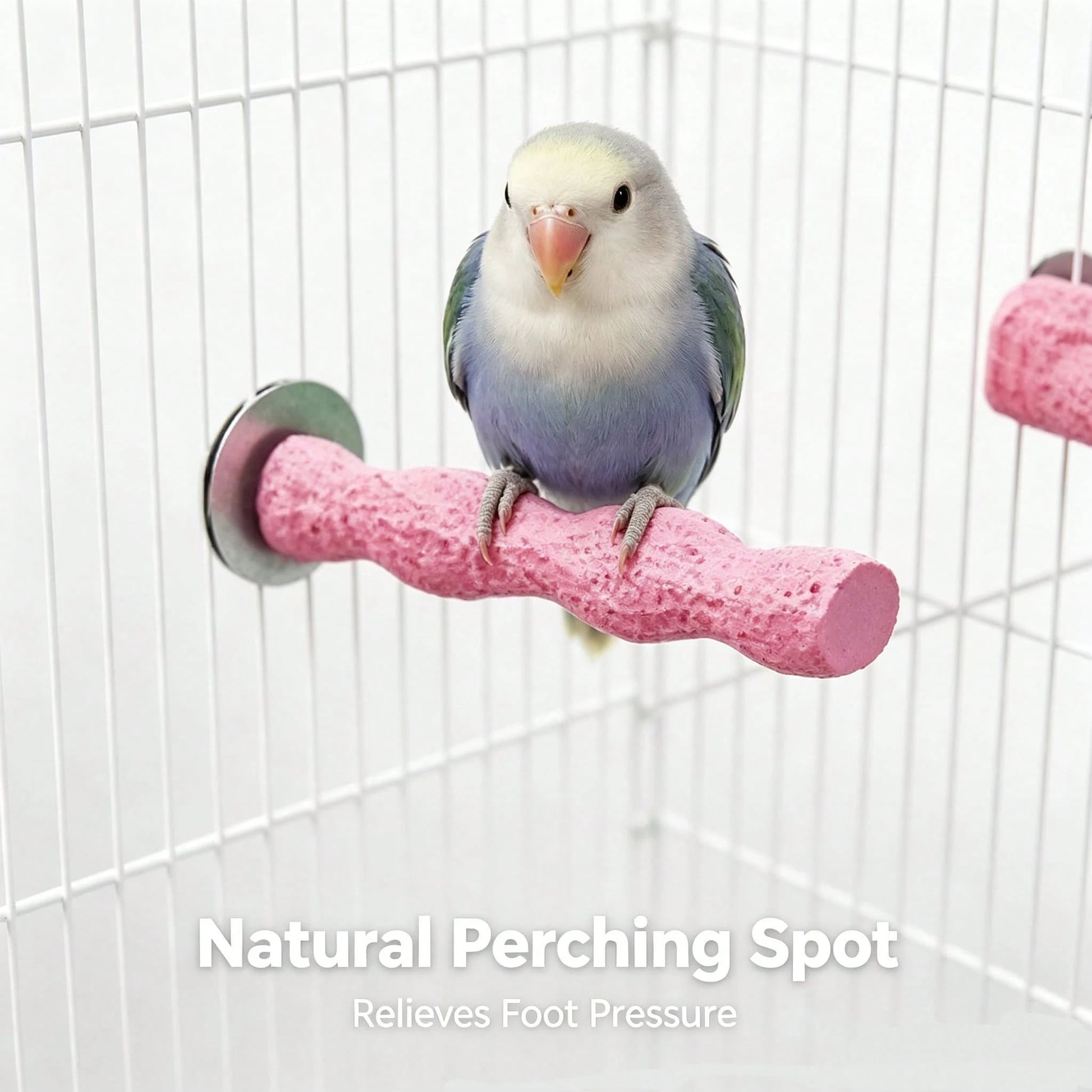 Perch Toy Interactive Stand,Perch Stand For Small Parrots,Twisted Resin Bird Perch,Cage Mount Grinding Nail Stand For Parakeets,Claw Grinding,Perching,And Training Educational Perch Stand,Universal Fi