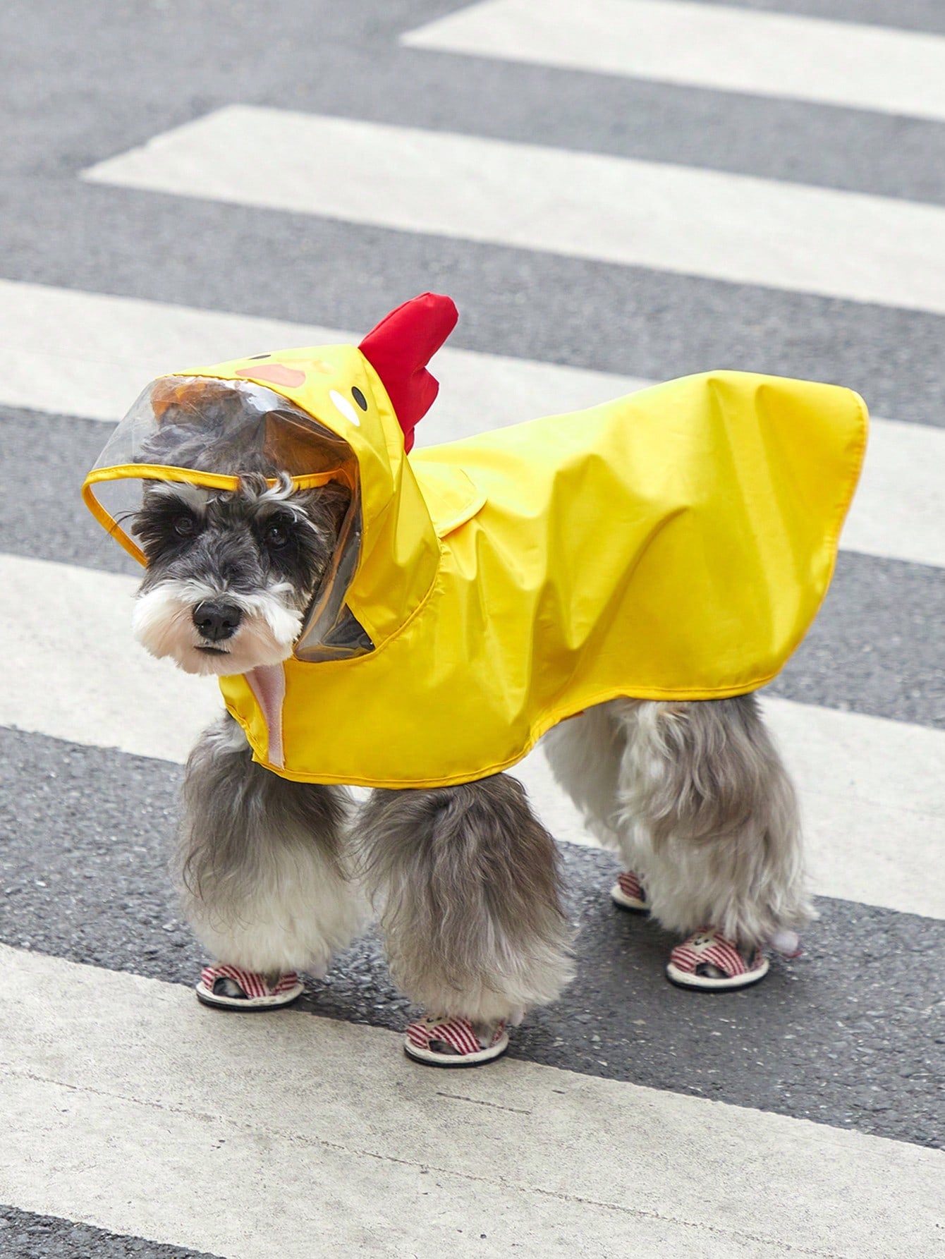 PETSIN 1pc Fabric Cartoon Chicken Design Hooded Pet Raincoat For Dog And Cat For Rainy Day