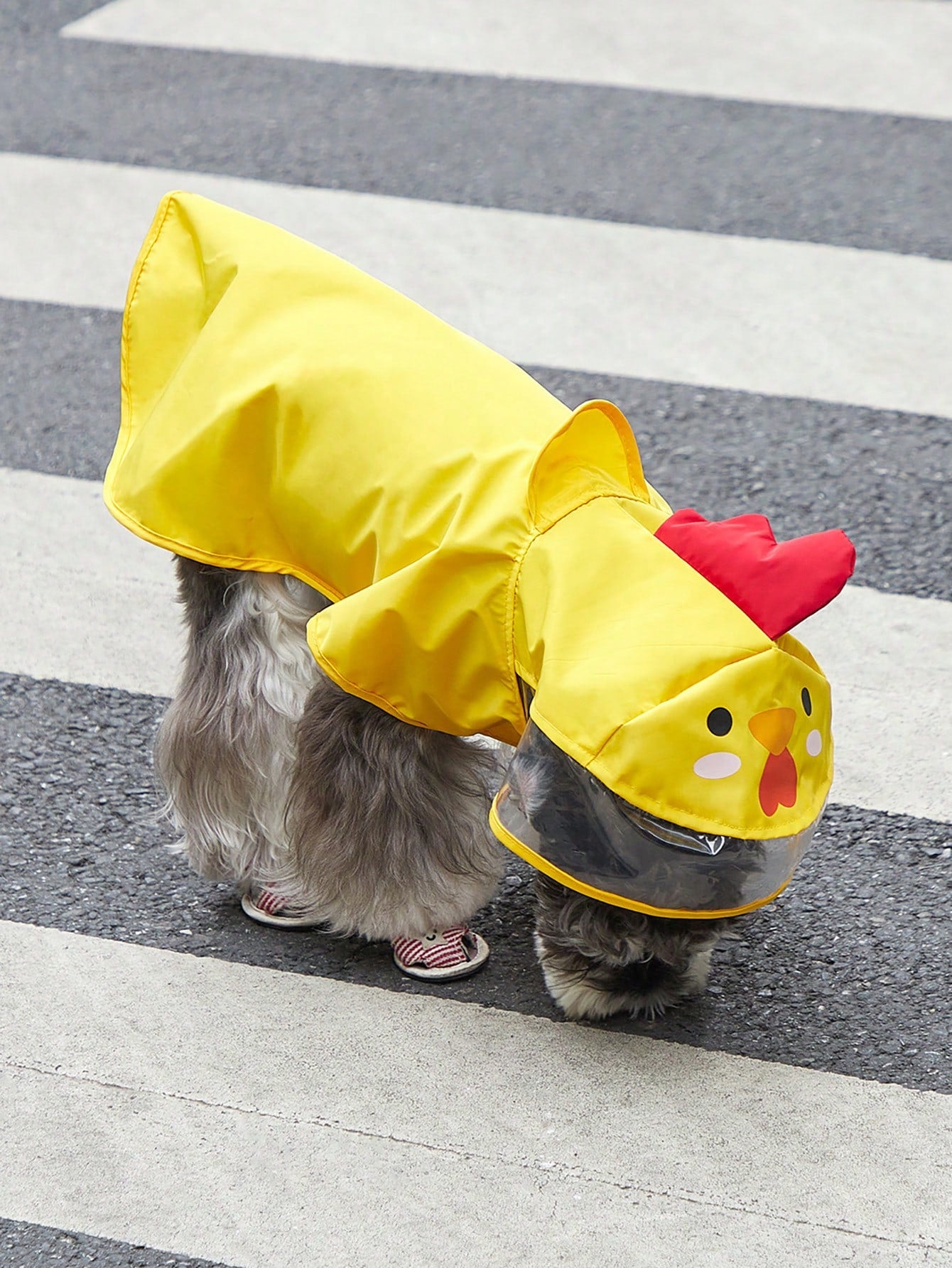 PETSIN 1pc Fabric Cartoon Chicken Design Hooded Pet Raincoat For Dog And Cat For Rainy Day