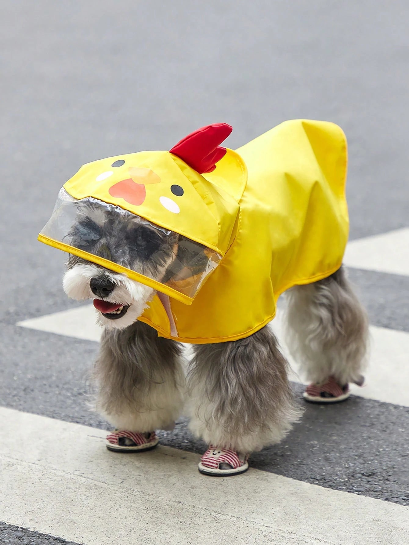 PETSIN 1pc Fabric Cartoon Chicken Design Hooded Pet Raincoat For Dog And Cat For Rainy Day