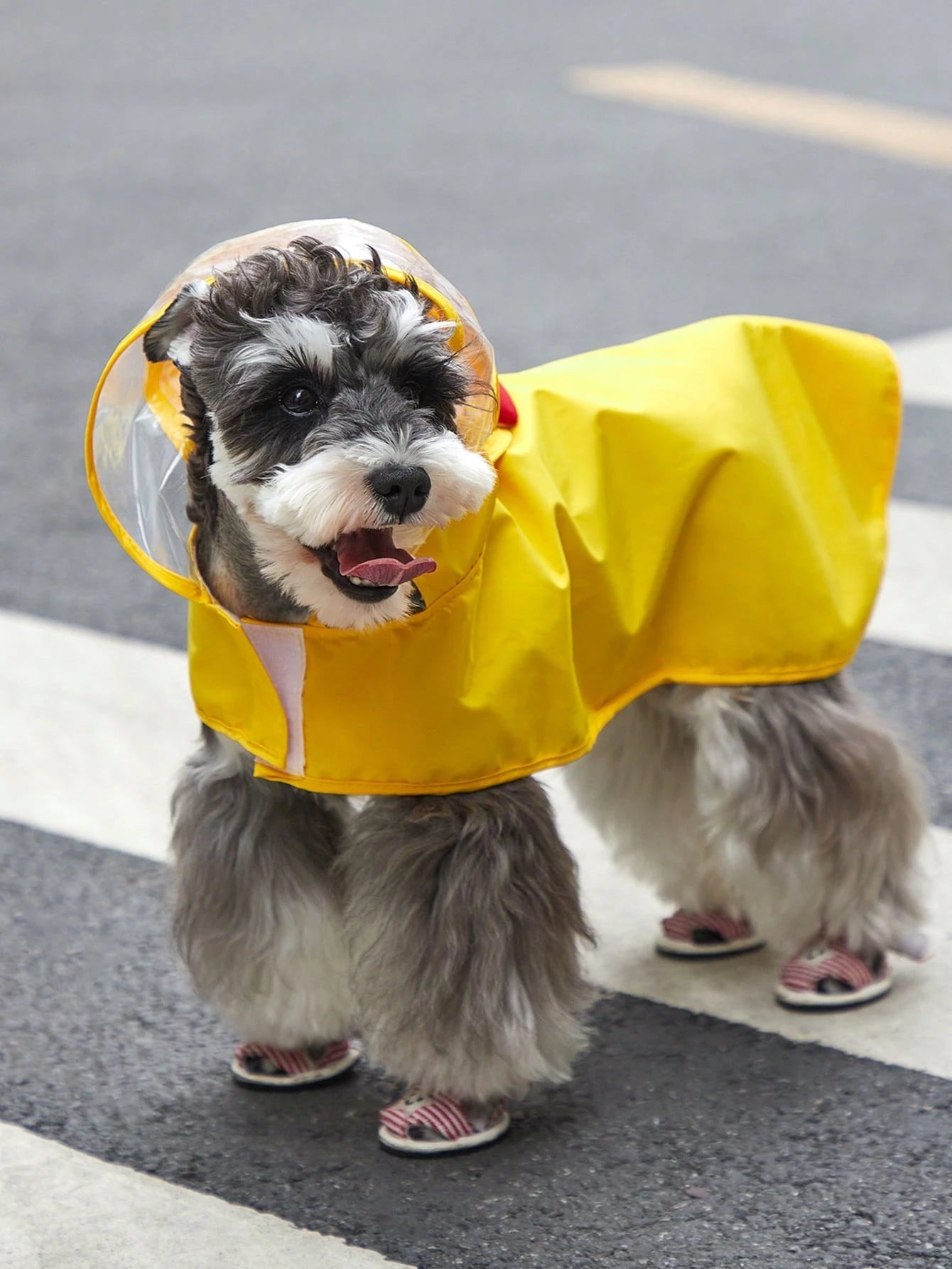PETSIN 1pc Fabric Cartoon Chicken Design Hooded Pet Raincoat For Dog And Cat For Rainy Day
