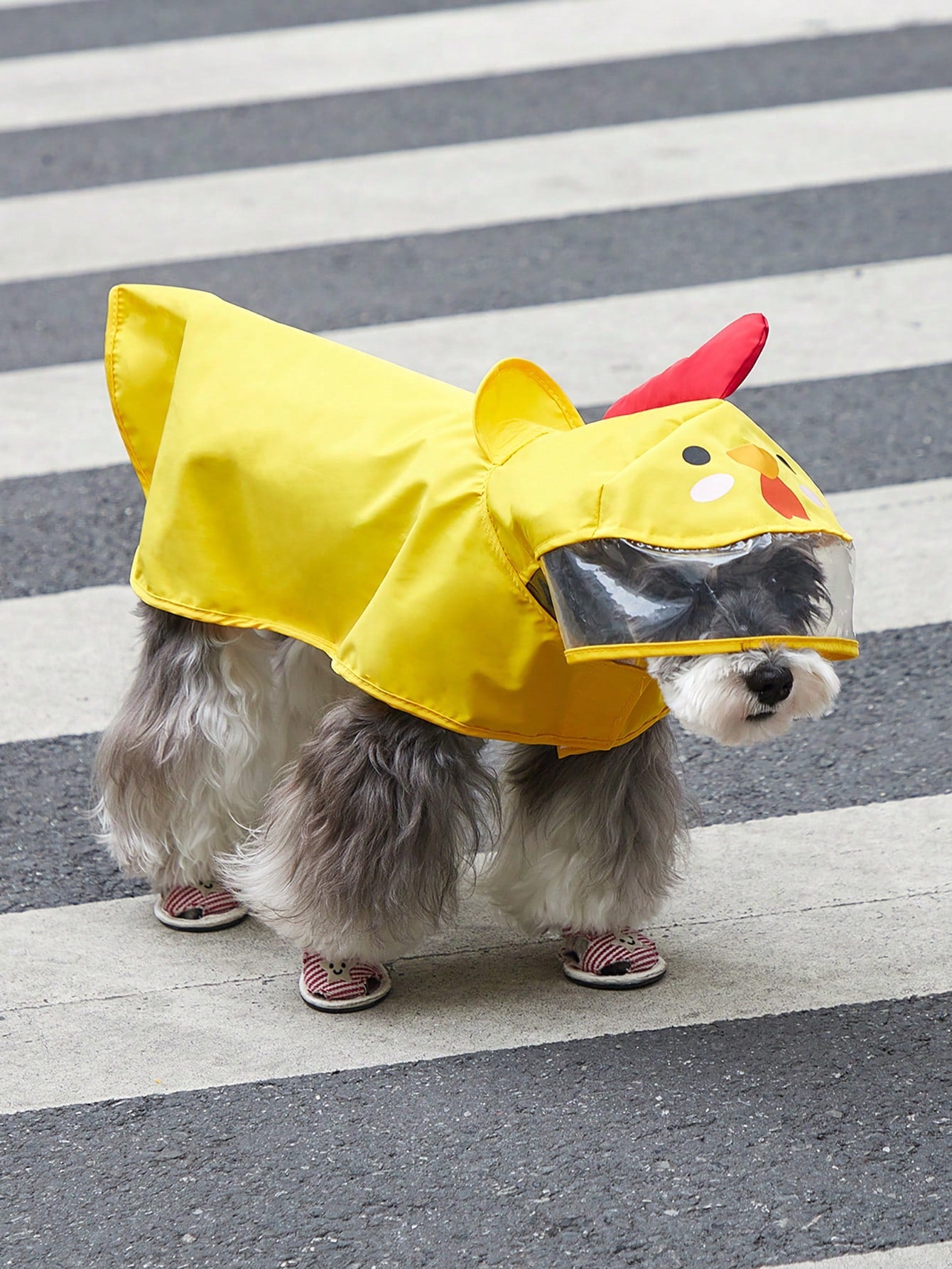 PETSIN 1pc Fabric Cartoon Chicken Design Hooded Pet Raincoat For Dog And Cat For Rainy Day