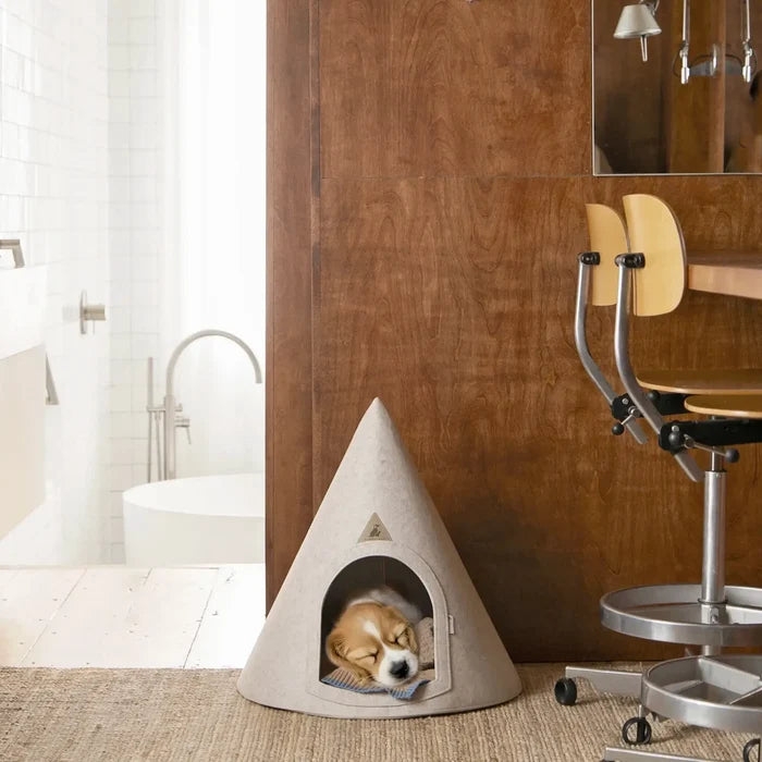 Dog lying in a cone-shaped pet bed in a modern room with wooden walls and a chair.