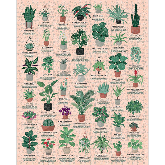 Ridley's - House Plants 1000 Piece Jigsaw Puzzle