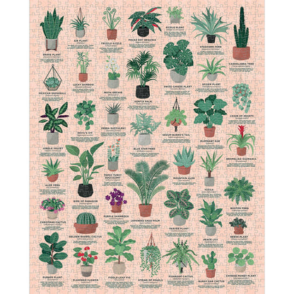 Ridley's - House Plants 1000 Piece Jigsaw Puzzle
