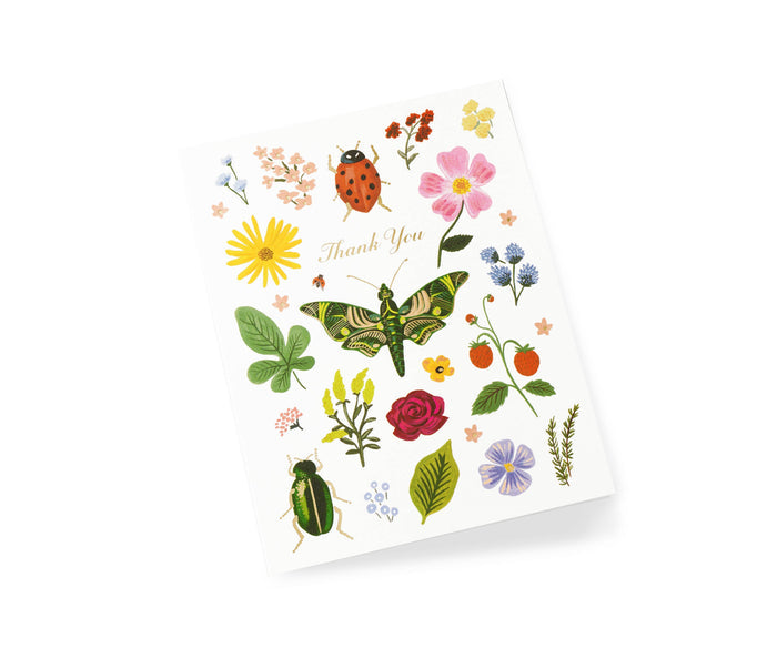 Rifle Paper Co. - Curio Thank You Card