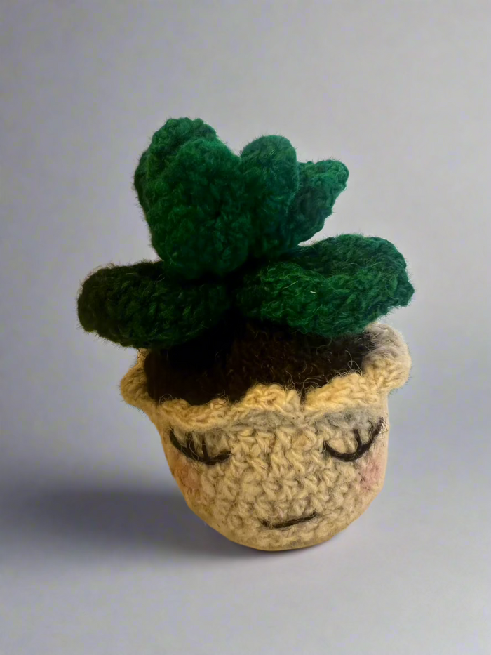 handcrafted wool succulent in a little pot. measures about 3.5" high by 3"
